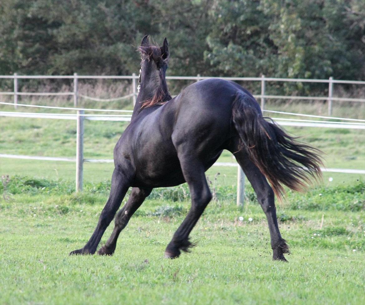 Frieser The Pretty Princess - Woops! billede 7