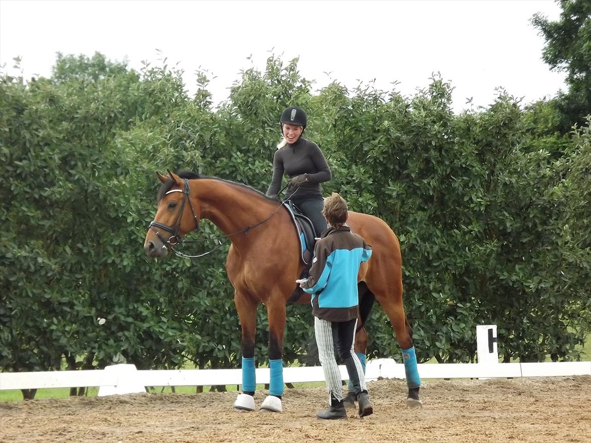 Holstener Life Star billede 8