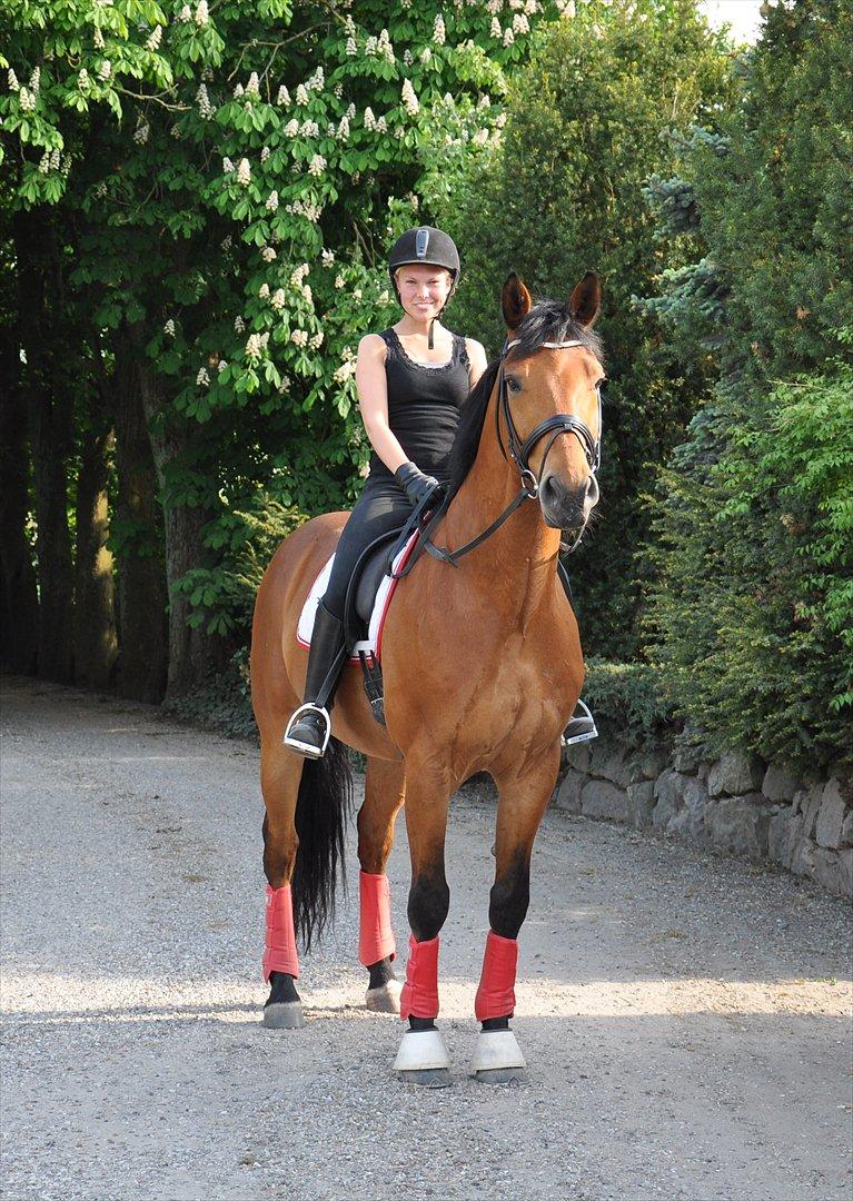 Holstener Life Star billede 10