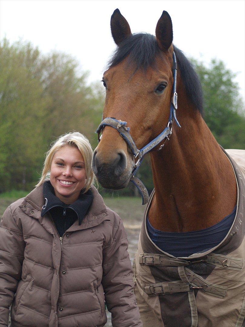 Holstener Life Star - Fotograf: Mie Winding.  billede 11