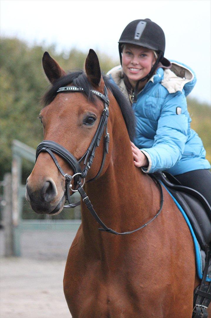 Holstener Life Star - Fotograf: Mie Winding.  billede 12