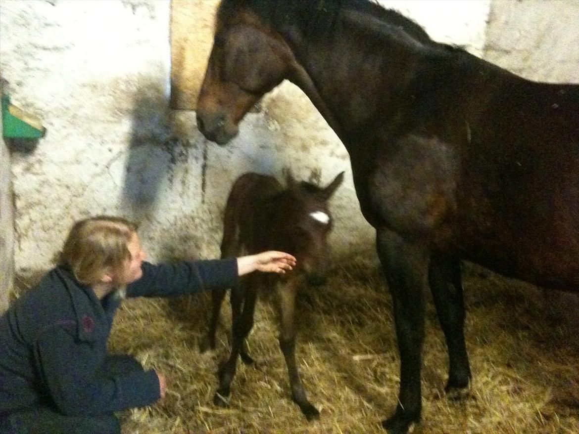 Anden særlig race Magic Sensation (Maggie) - Vores første nus billede 2