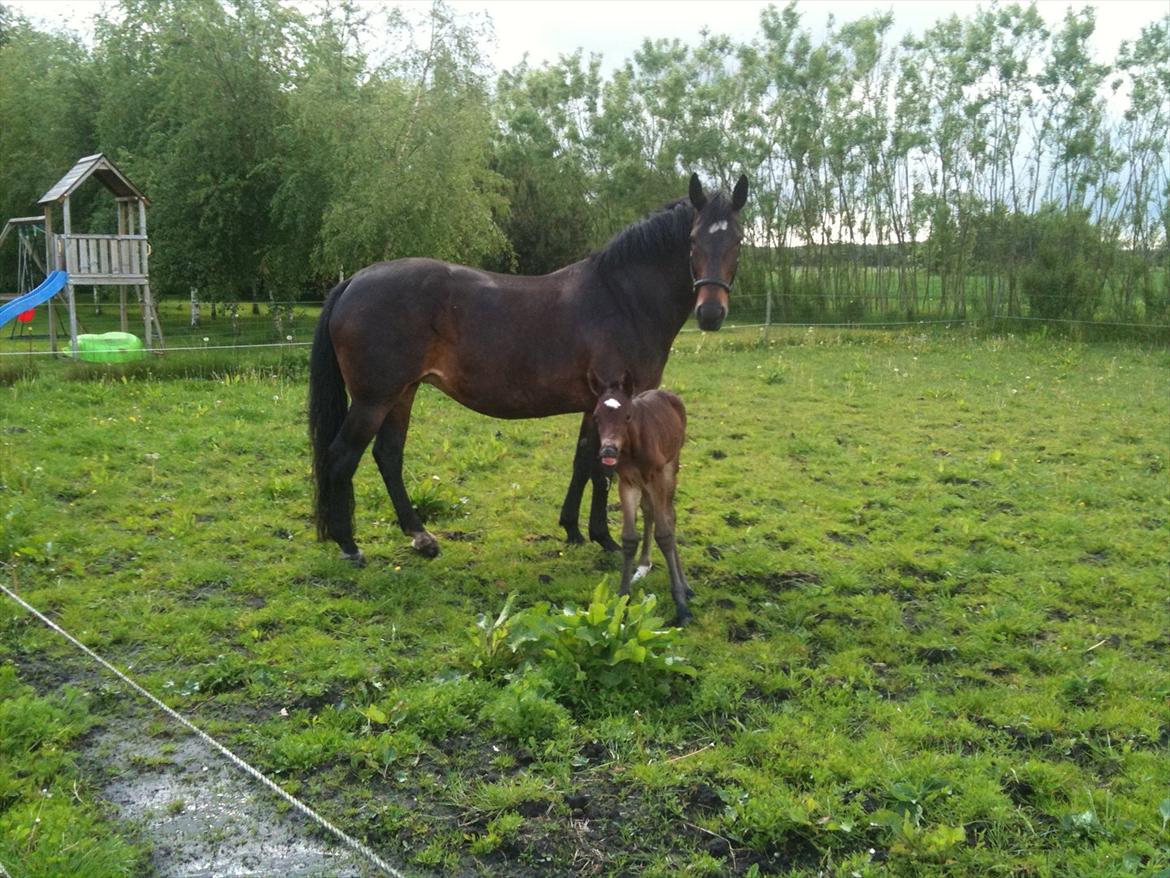 Anden særlig race Magic Sensation (Maggie) - Skal man række tunge når hun tager billeder mor???? billede 5