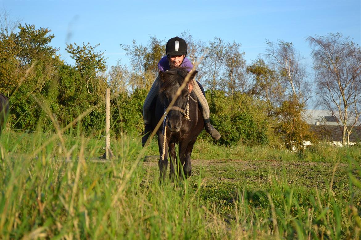 Anden særlig race Bonus billede 4