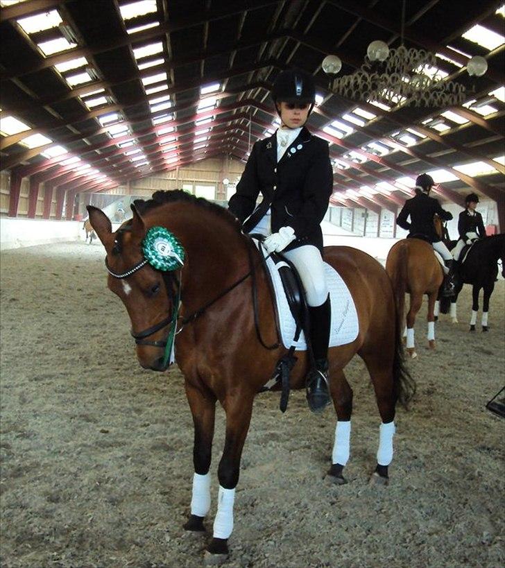 DSP Ryttergårdens nika billede 15