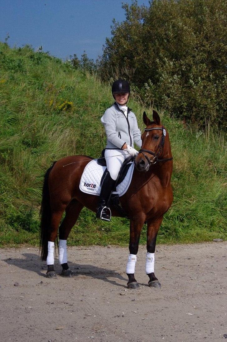 DSP Ryttergårdens nika - Billede til vores sponsor ved DM 2011 billede 16