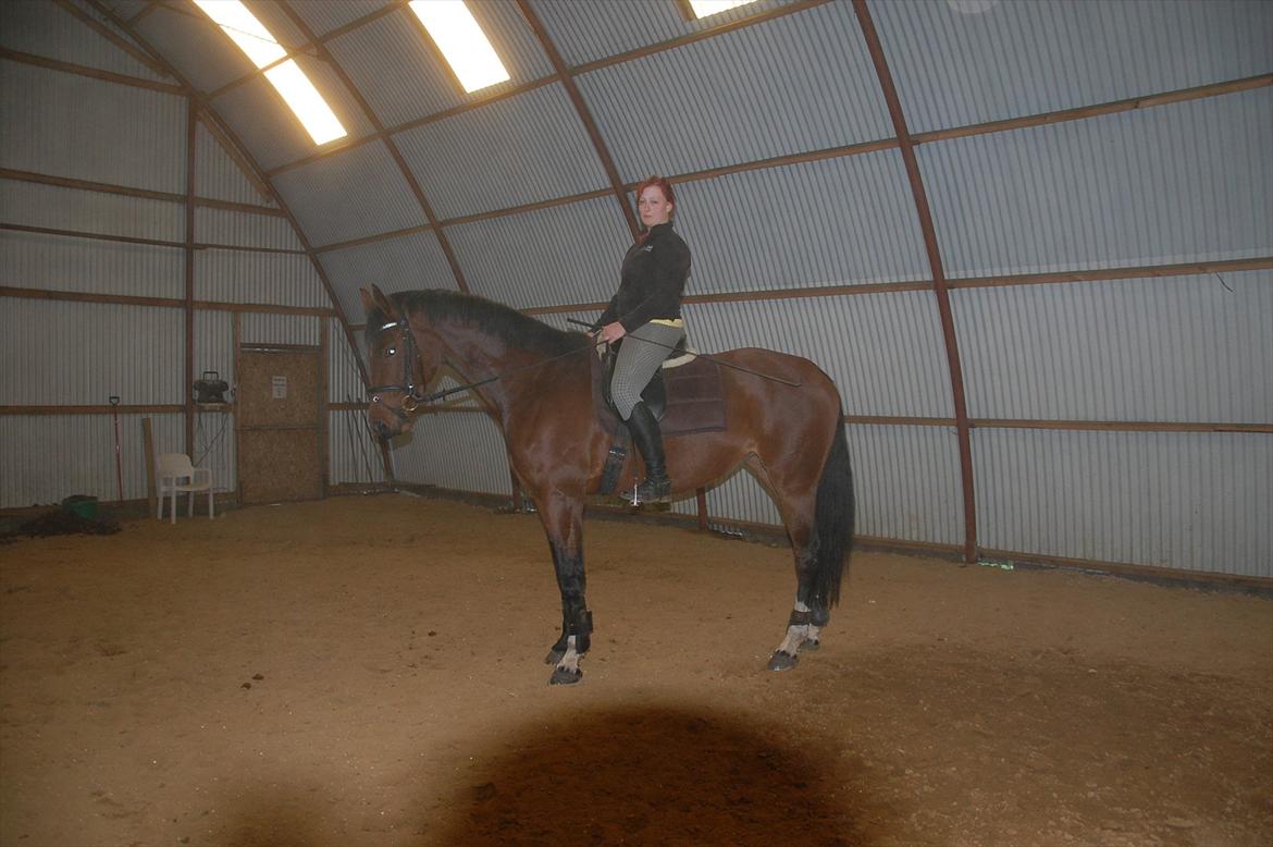 Dansk Varmblod Kronborgdiges Flika  - 12/10-11 5 gang på ryggen af tøsen
Der sker da noget! billede 12