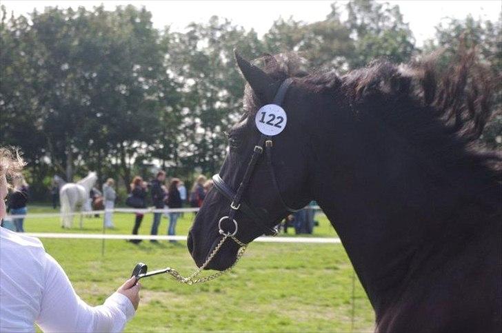 Frieser Ebony Jacoba billede 7