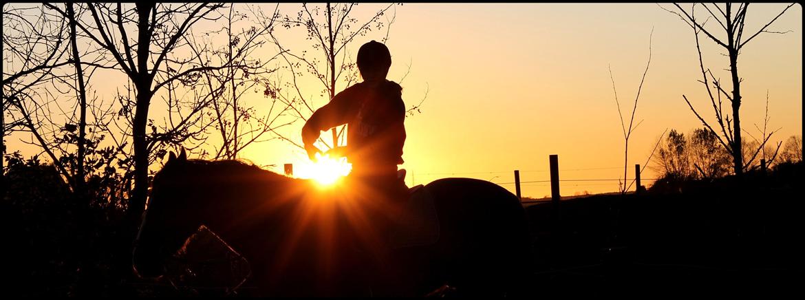 Anden særlig race Poseidon billede 17