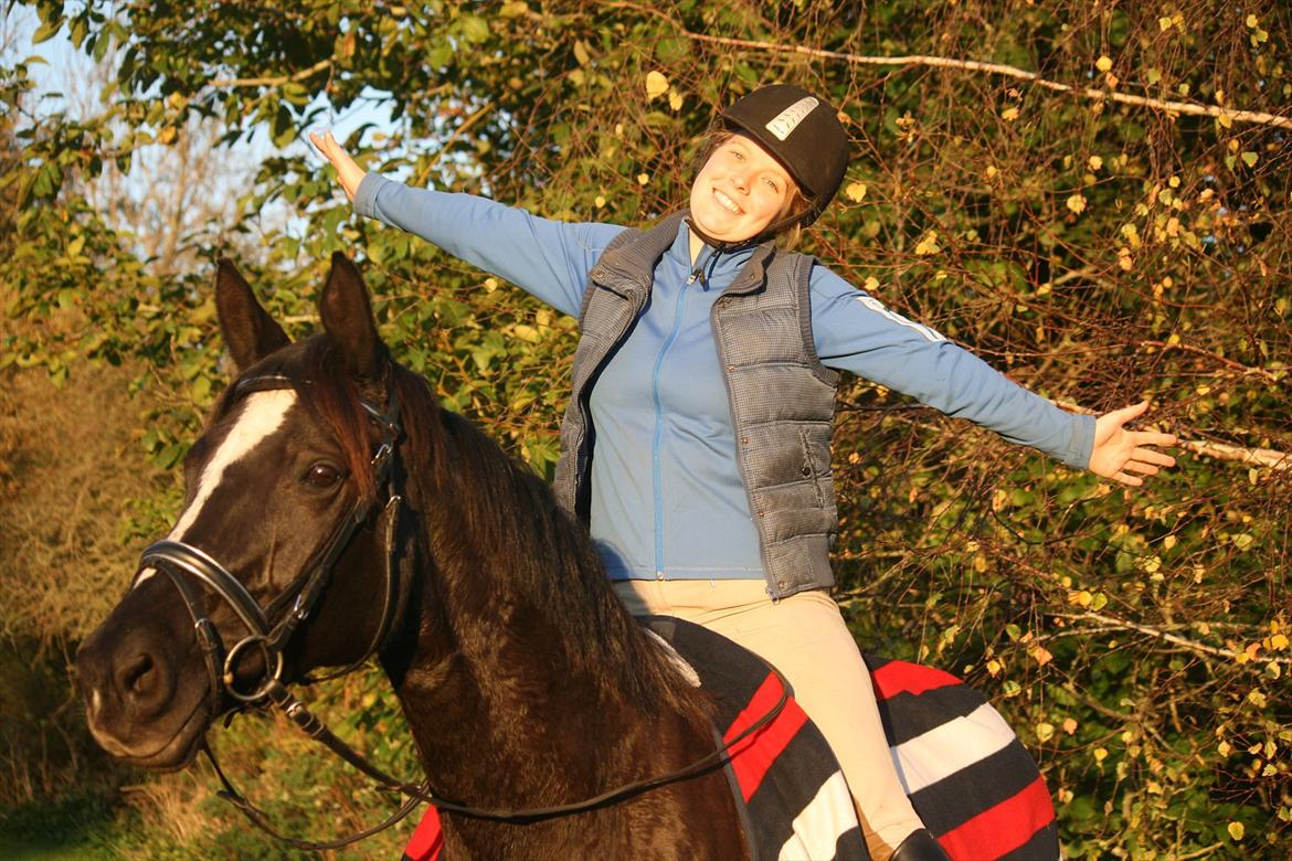 Trakehner Kantate Dyrhave (solgt)  - 13-10-2011 - dejlig efterårsdag billede 14