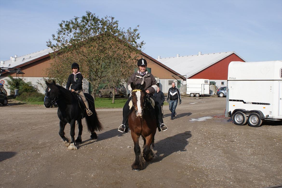Irish Cob Duke - Rid-A-Ton på Svenstrup Gods d. 9/10-2011.  billede 10