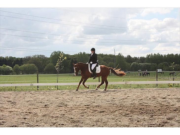 {{currentPhoto.altText}} billede {{currentPhoto.number}}