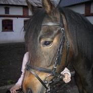 Anden særlig race Ferrari *Solgt*