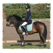 Anden særlig race Tarzan R.I.P <3