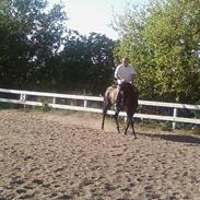 DSP Anegårdens luka