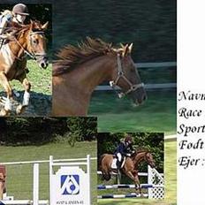 Hollandsk Sportspony La Diva ( solgt)