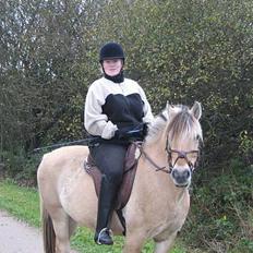 Anden særlig race Whisky