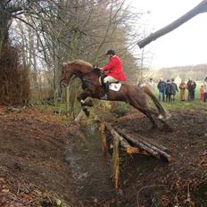 Frederiksborg Apollo af iglsø 
