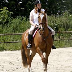 Frederiksborg Apollo af iglsø 