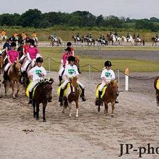 Anden særlig race Ni-Chan´s Babyboy