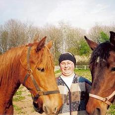 Traver Kristi Spirit