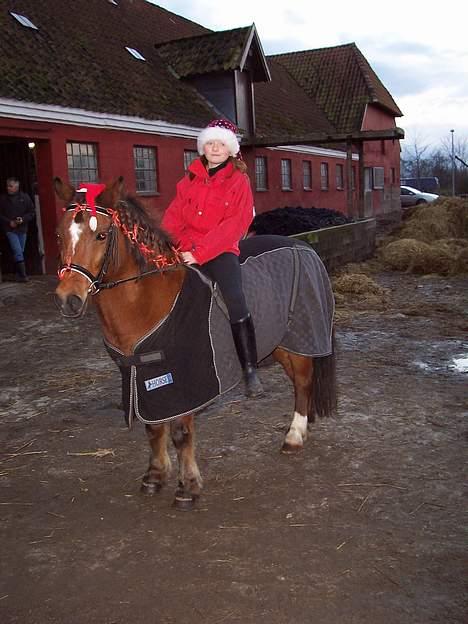 Anden særlig race Felix *SOLGT* - Felix og mig til juleafslutning 2005 . billede 6