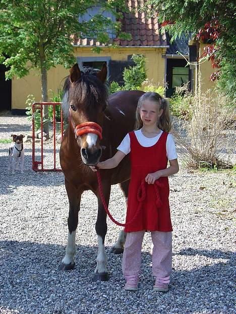 Anden særlig race | Cool Spot *Solgt* - *9* Er de ikke søde??  Det er min lille vovse der står til venstre...  Foto: Min mor billede 9