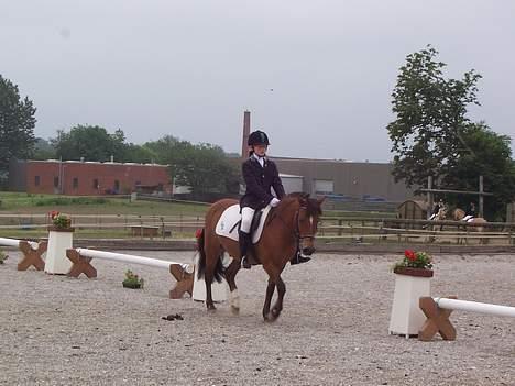 Anden særlig race Felix *SOLGT* - Felix og mig til Klubmesterskab 2006. Vi red en LC1 <3 billede 7