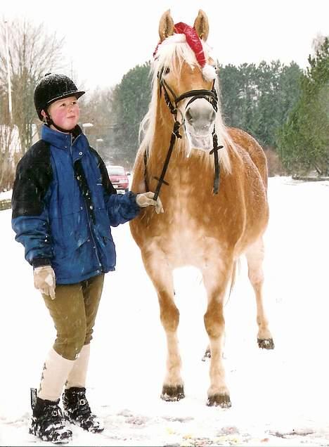 Tyroler Haflinger Tinni - julehygge ;) billede 10