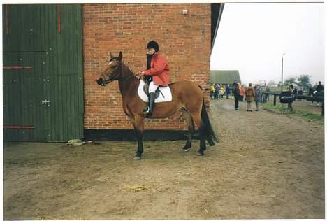 Anden særlig race Tasiba - Stævne på Lindegården.. Jeg har lige sat mig op, derfor ser jeg lidt sjov ud.. hehe billede 8