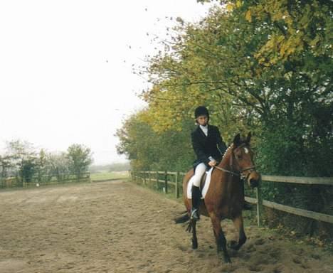 Anden særlig race Tasiba - Stævne på Lindegården. Mit første stævne på Tasiba, jeg blev diskvalificeret fordi jeg glemte progammet og jeg red forkert tre gange.. øøhh ups.. billede 9