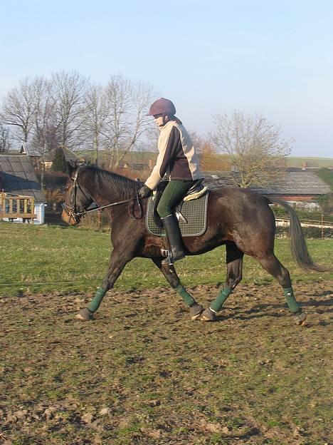 Traver Elliot Swing (Fjot) Død) - Øgning se lige hvor han træder ind under sig selv. 24 marte 2007 Foto Trine billede 13