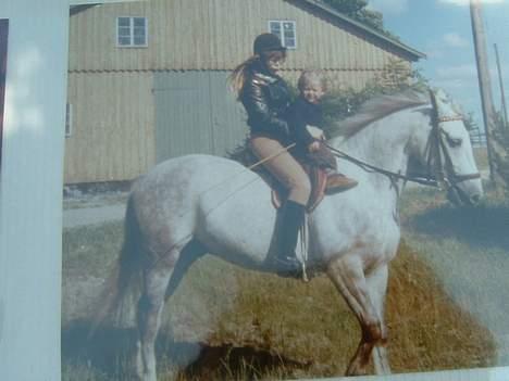 Anden særlig race Jack billede 20