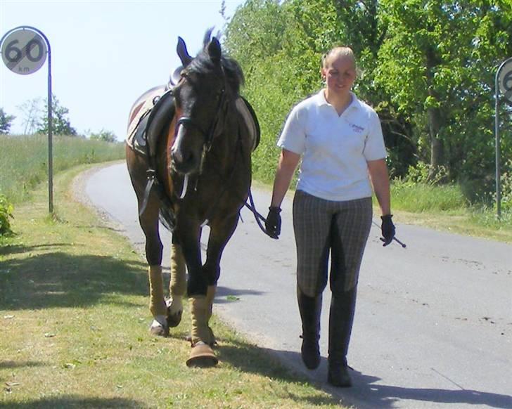 Anden særlig race Monark - A-hest i dressur - Træning overstået. På vej tilbage i stalden :-) Foto: KarenTT billede 7