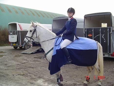 Anden særlig race IL TEMPO GIGANTE solgt billede 1