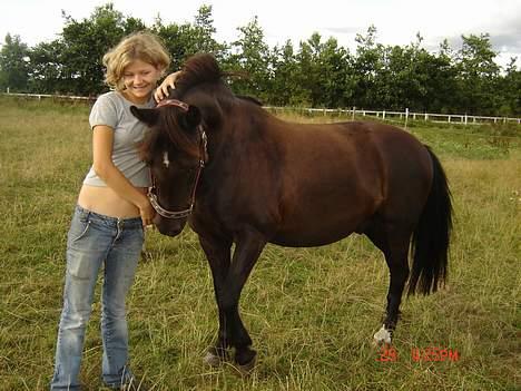 Anden særlig race Django<3 gammel pony ;/  - har hun mon en godbid til mig? eller driller hun bare? :D billede 14