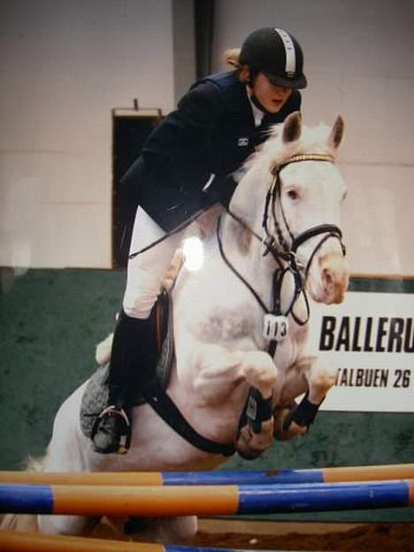 Anden særlig race unicorn(solgt) - Unicorn´s salgsbillede billede 13