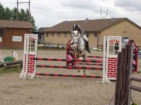 Anden særlig race unicorn(solgt) - Unicorn´s salgsbillede billede 14