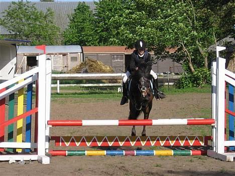 Anden særlig race Tarzan R.I.P <3 - Igen i Bylderup Bov. LB. billede 2