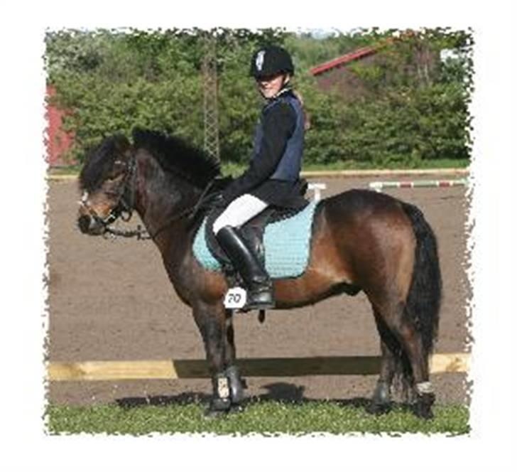 Anden særlig race Tarzan R.I.P <3 - I Bylderup Bov. Min allersmukkeste pony :) <3 billede 5
