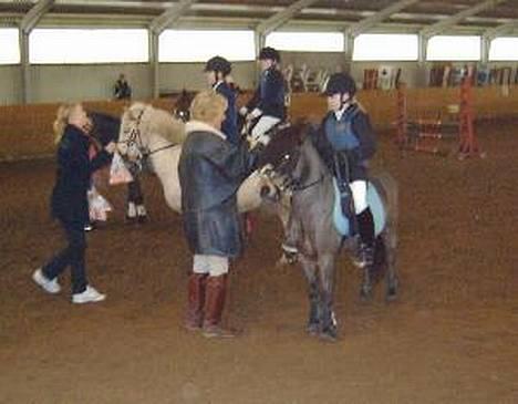 Anden særlig race Tarzan R.I.P <3 - Præmieoverrækkelse i Aabenraa. 4 plads i LC mener jeg. billede 6