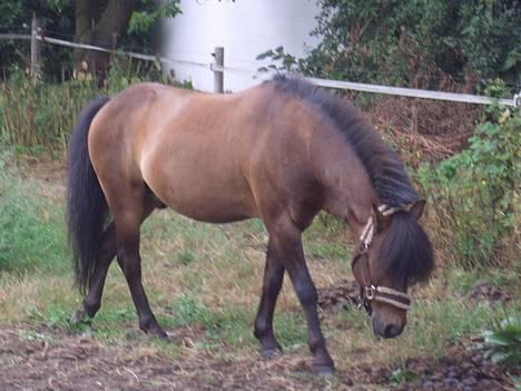 Anden særlig race Tarzan R.I.P <3 billede 7