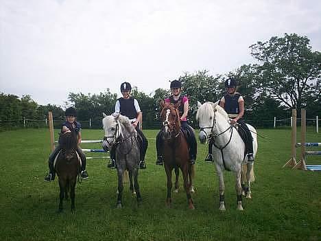 Anden særlig race Tarzan R.I.P <3 - Springtræning :) billede 8