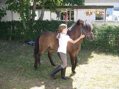Anden særlig race Tarzan R.I.P <3 - Da jeg lige havde fået Tarzan, og havde ham med hjemme hos mig :) billede 12