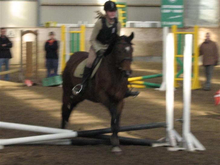 Dansk Varmblod *Sussie* - 5 # Det eneste springbillede jeg havde... ved godt det ikke er så godt og vi springer lavt, men er jo på efterskole, så får ikke undervisning.... billede 5