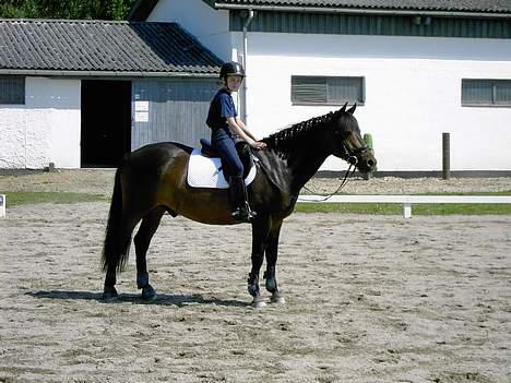 New Forest Elmholts Senator - Mig og min ponii til ministævne på min rideskole.. billede 2