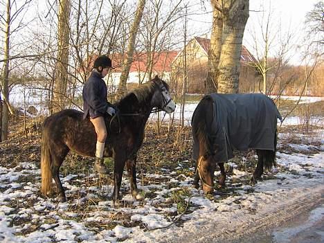 Anden særlig race Katrinebjergs Kreon†2006† -  (9)  mig og igen en af mine venner Pikatju... c",) billede 9