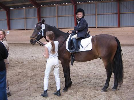 Anden særlig race Katrinebjergs Kreon†2006† -  (11)  og her er min ejers lillesøster til trekprogram =o) billede 11