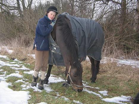 Anden særlig race Katrinebjergs Kreon†2006† -  (12)  (dagen inden han blev aflivet........   vræææl) =´o( billede 12