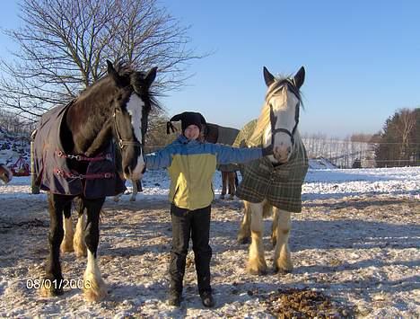 Tinker Lady Luna - Her i Luna med sin bedste ven Shaddie (t.h) og en af de små ride piger som har en pony! billede 8